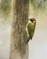 /album/galerie-de-photos-aquarelles/pic-vert-jpeg/